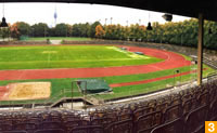 Dante track & field stadium